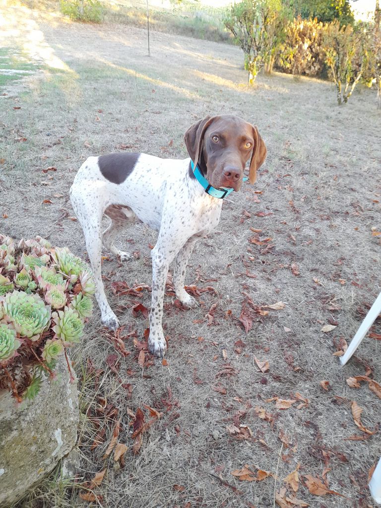 Sniper De la louviere en champagne